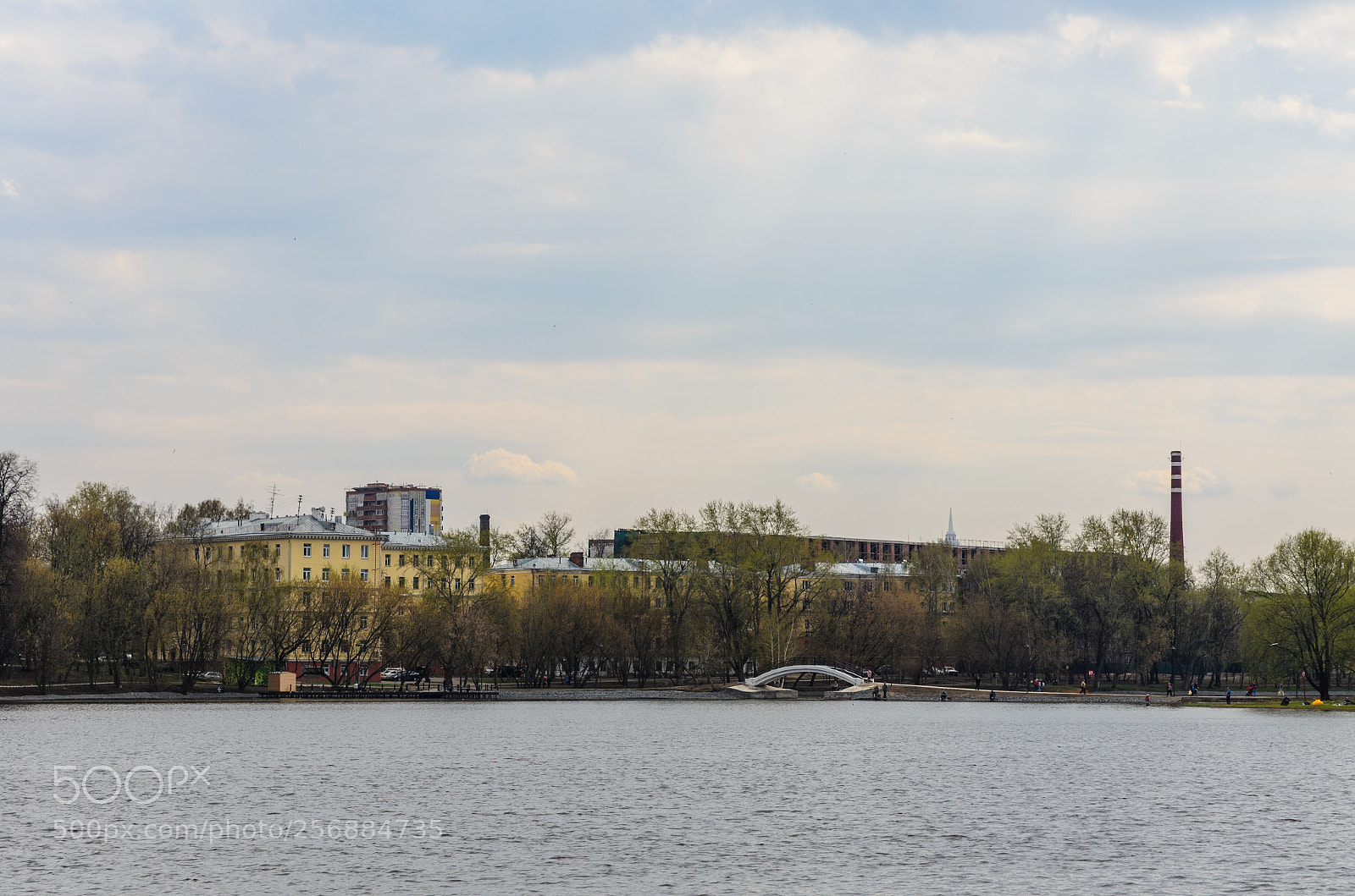 Nikon D5100 sample photo. 369 photography