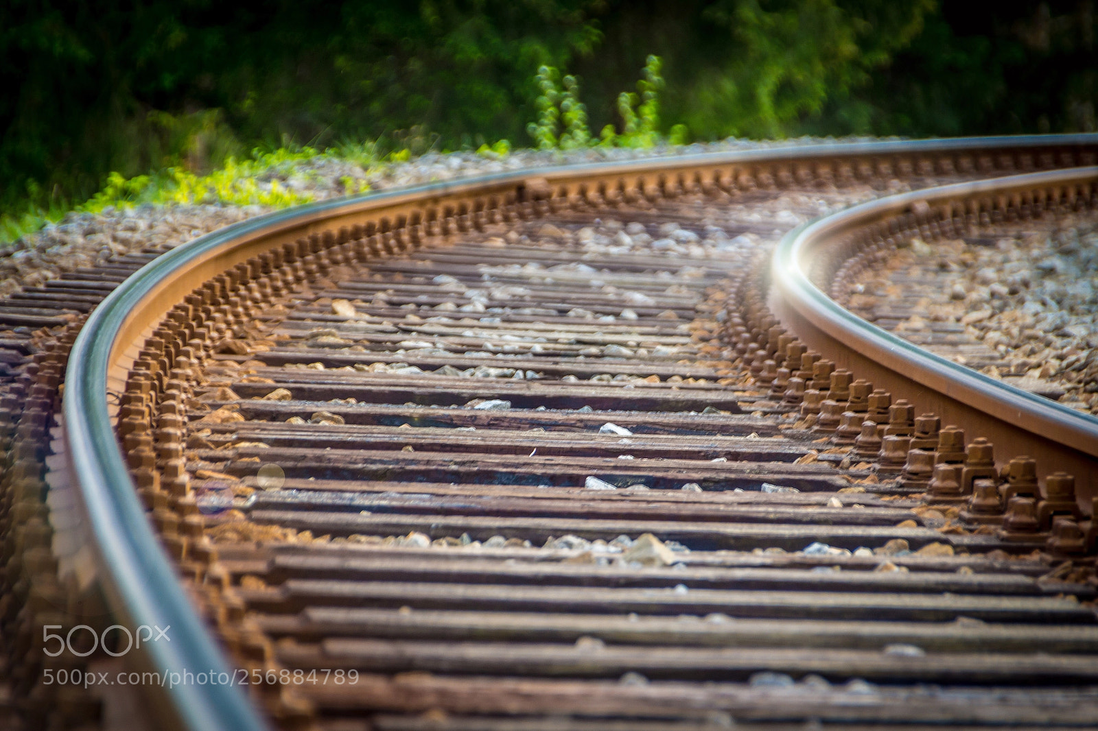 Canon EOS 650D (EOS Rebel T4i / EOS Kiss X6i) sample photo. Glossy rail photography