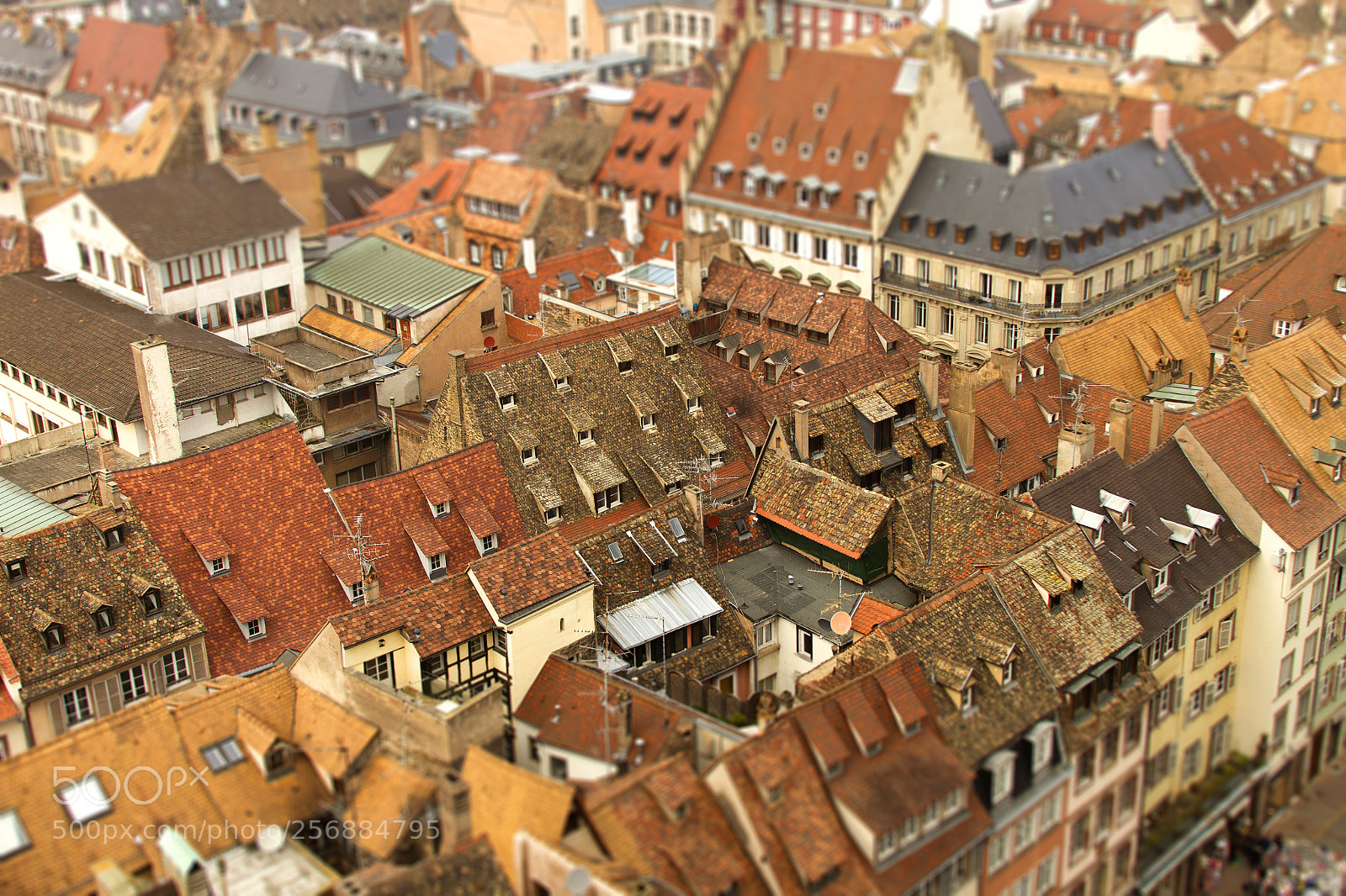 Canon EOS 7D sample photo. Roofs of strasbourg photography