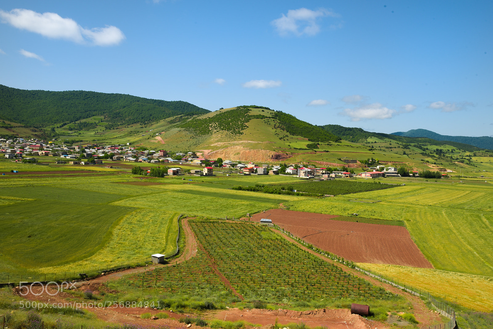 Nikon D750 sample photo. Beatiful view photography