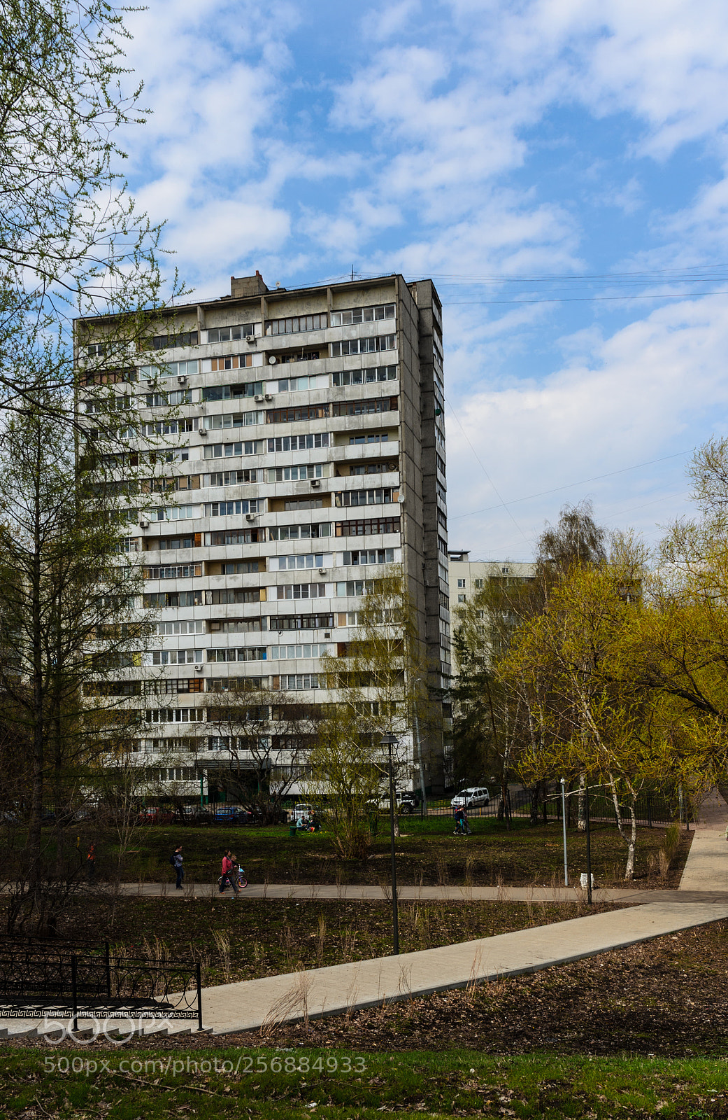 Nikon D5100 sample photo. 370 photography