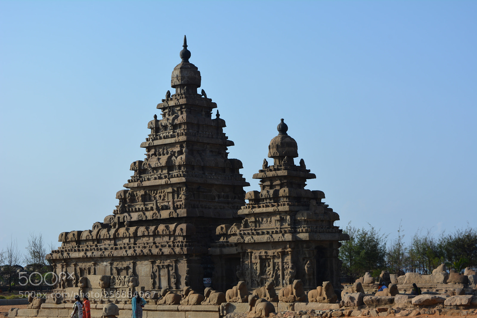 Nikon D5200 sample photo. Sea shore temple photography