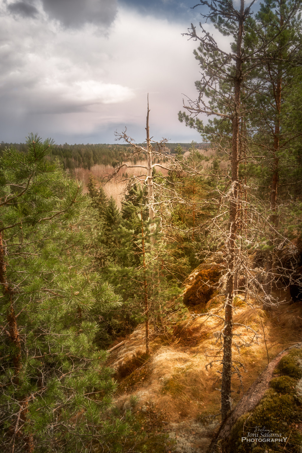 Panasonic Lumix DC-GX850 (Lumix DC-GX800 / Lumix DC-GF9) sample photo. Nuuksio photography