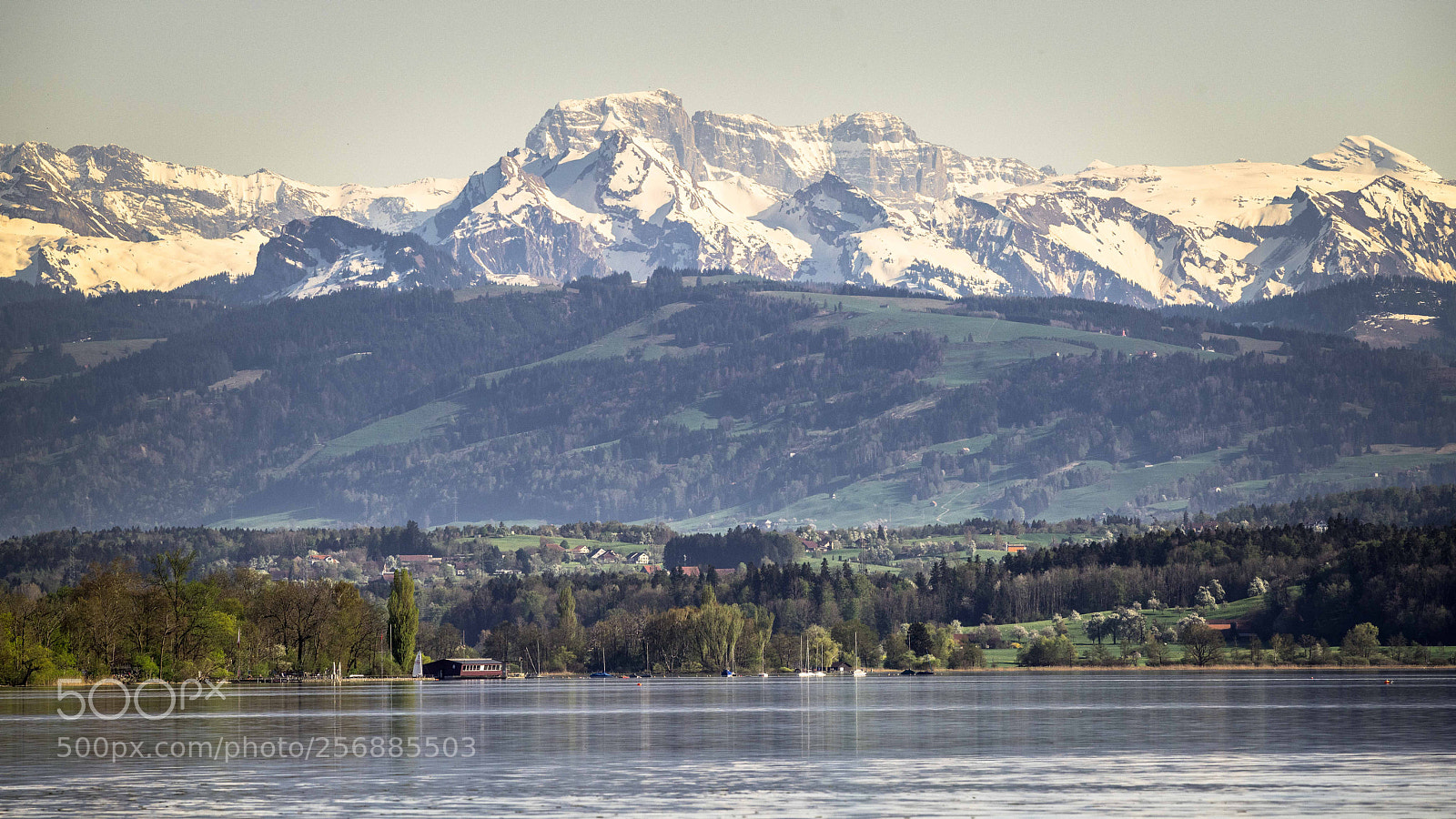 Nikon D850 sample photo. Greifensee, switzerland photography