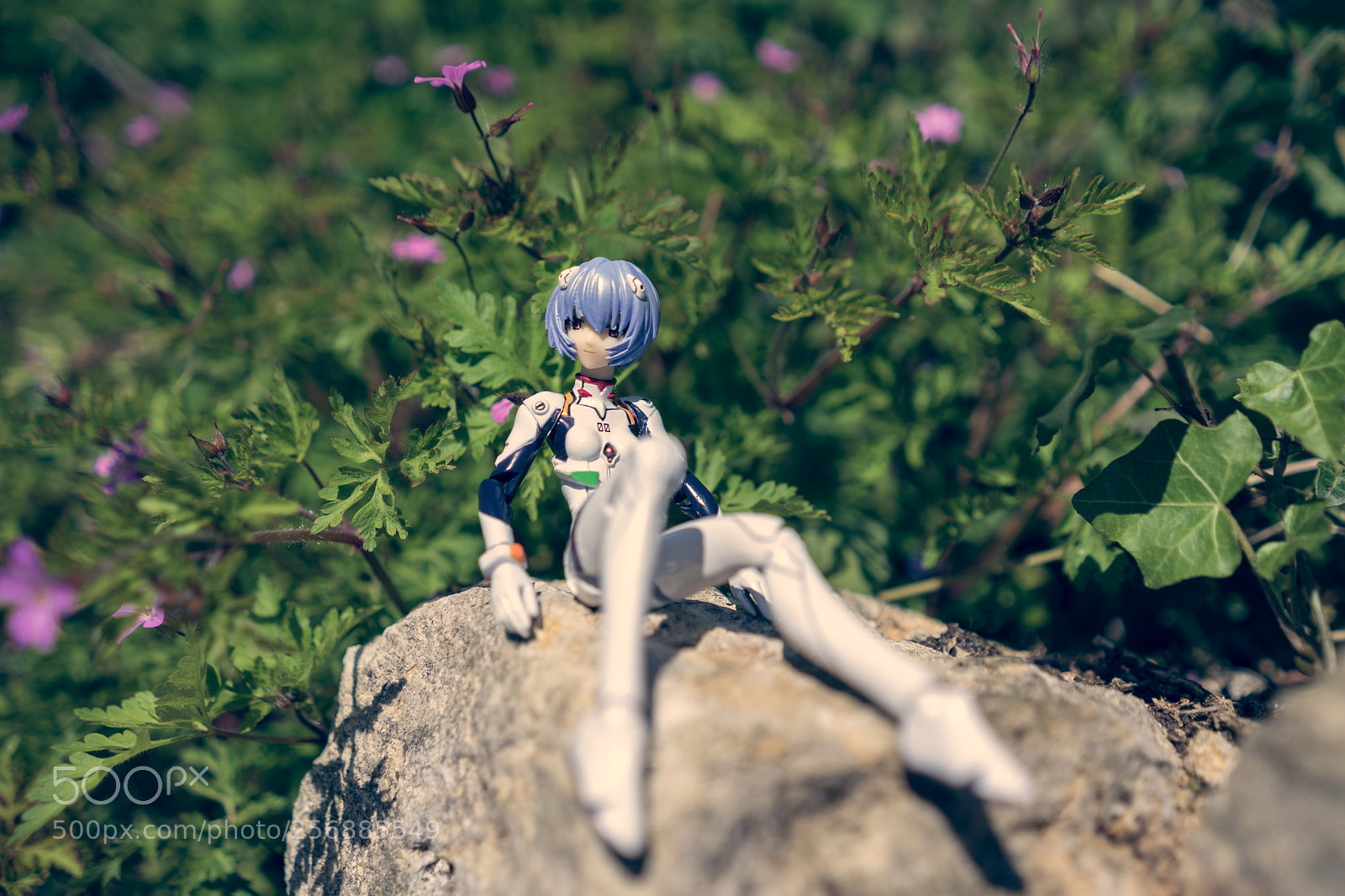 Sony a7 II sample photo. Rei ayanami photography