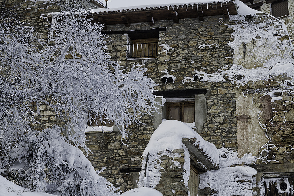 Canon EOS 7D sample photo. Estampa invernal photography