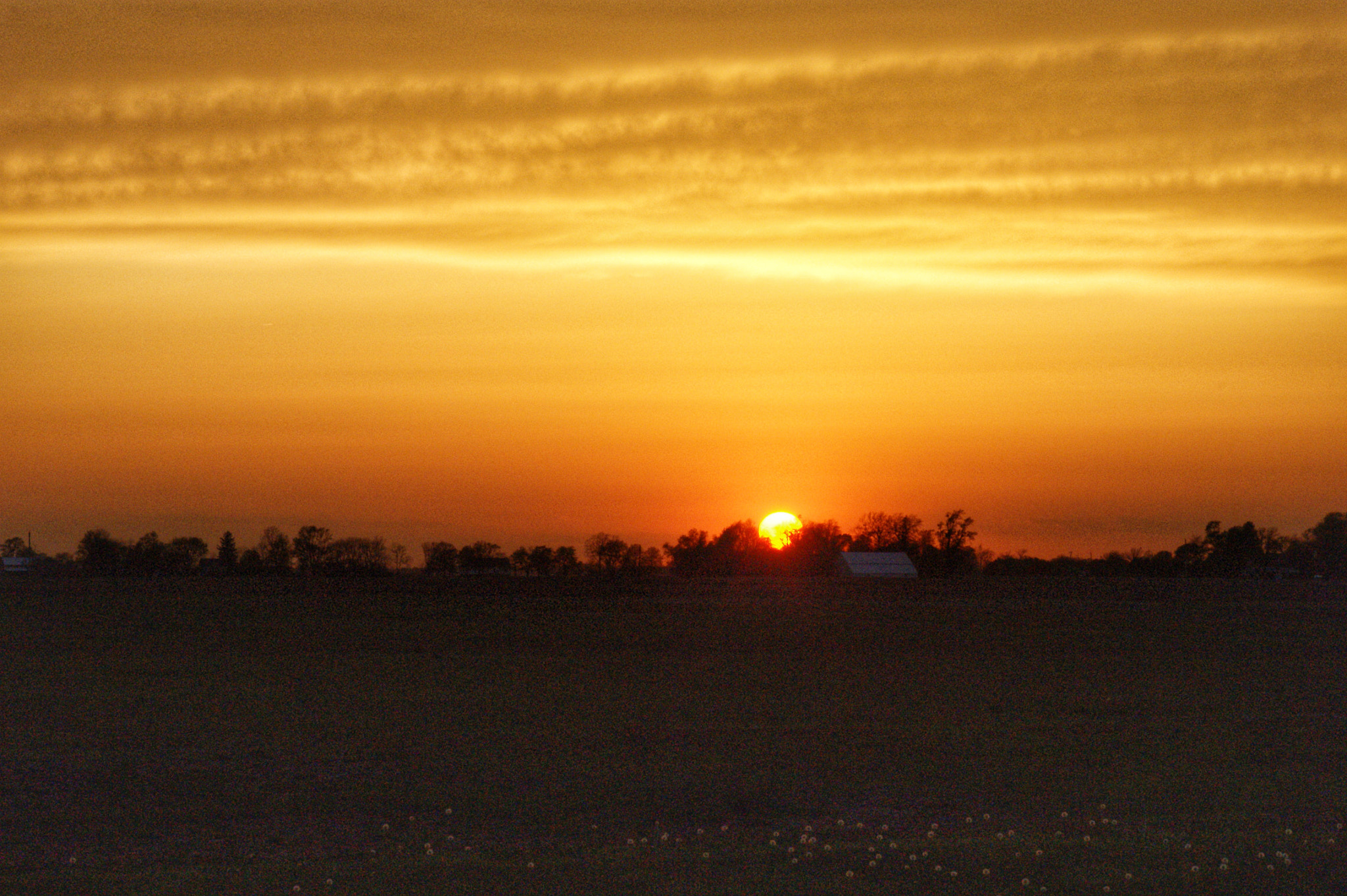 Sony Alpha DSLR-A380 sample photo. Setting sun photography