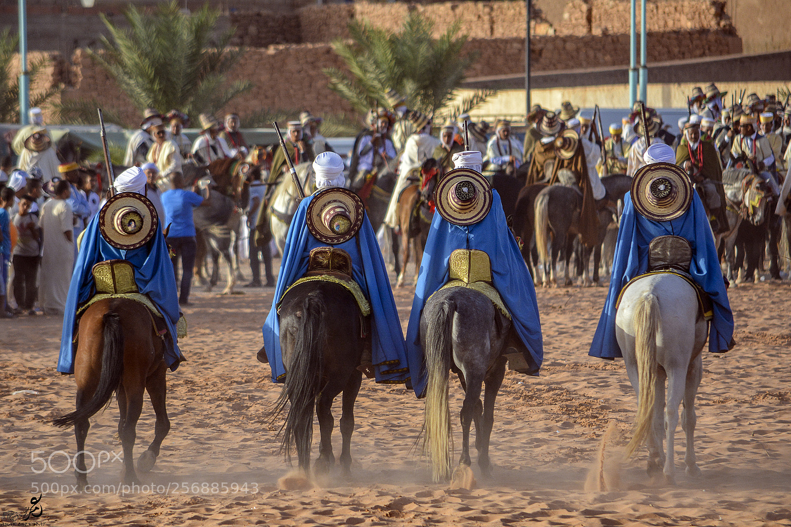 Nikon D5200 sample photo. فرسان الصحراء photography