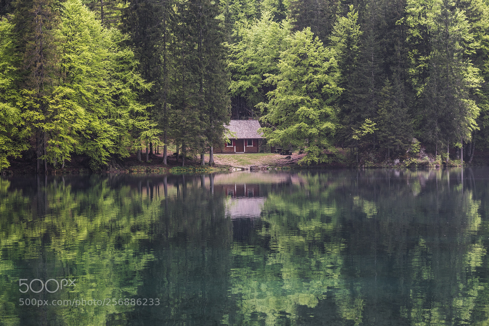 Canon EOS 760D (EOS Rebel T6s / EOS 8000D) sample photo. Cabin by the lake photography