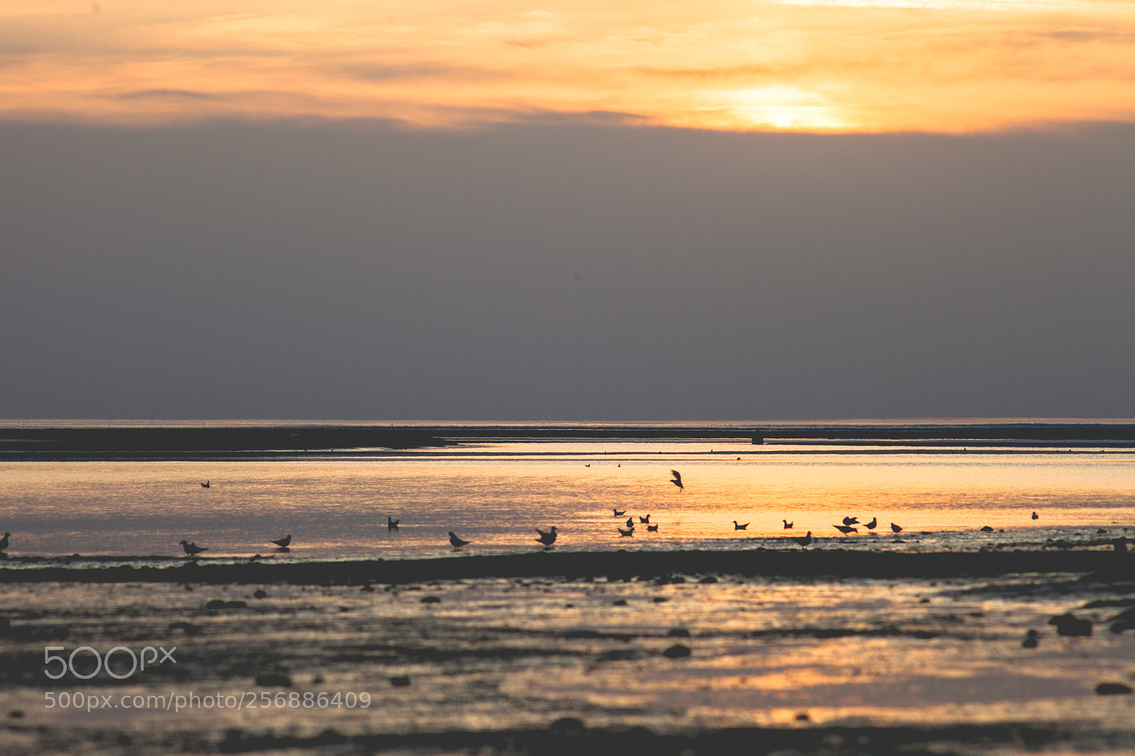 Canon EOS 5D Mark II sample photo. Le crotoy photography