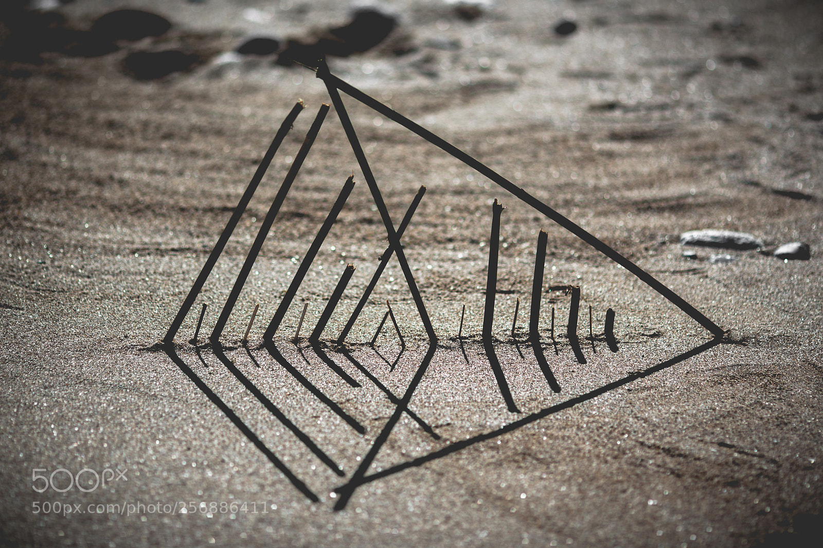 Canon EOS 5D Mark II sample photo. Graphisme photography