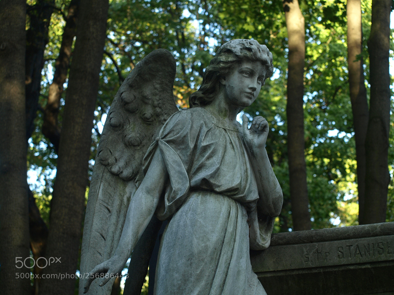 Olympus E-510 (EVOLT E-510) sample photo. Angel photography