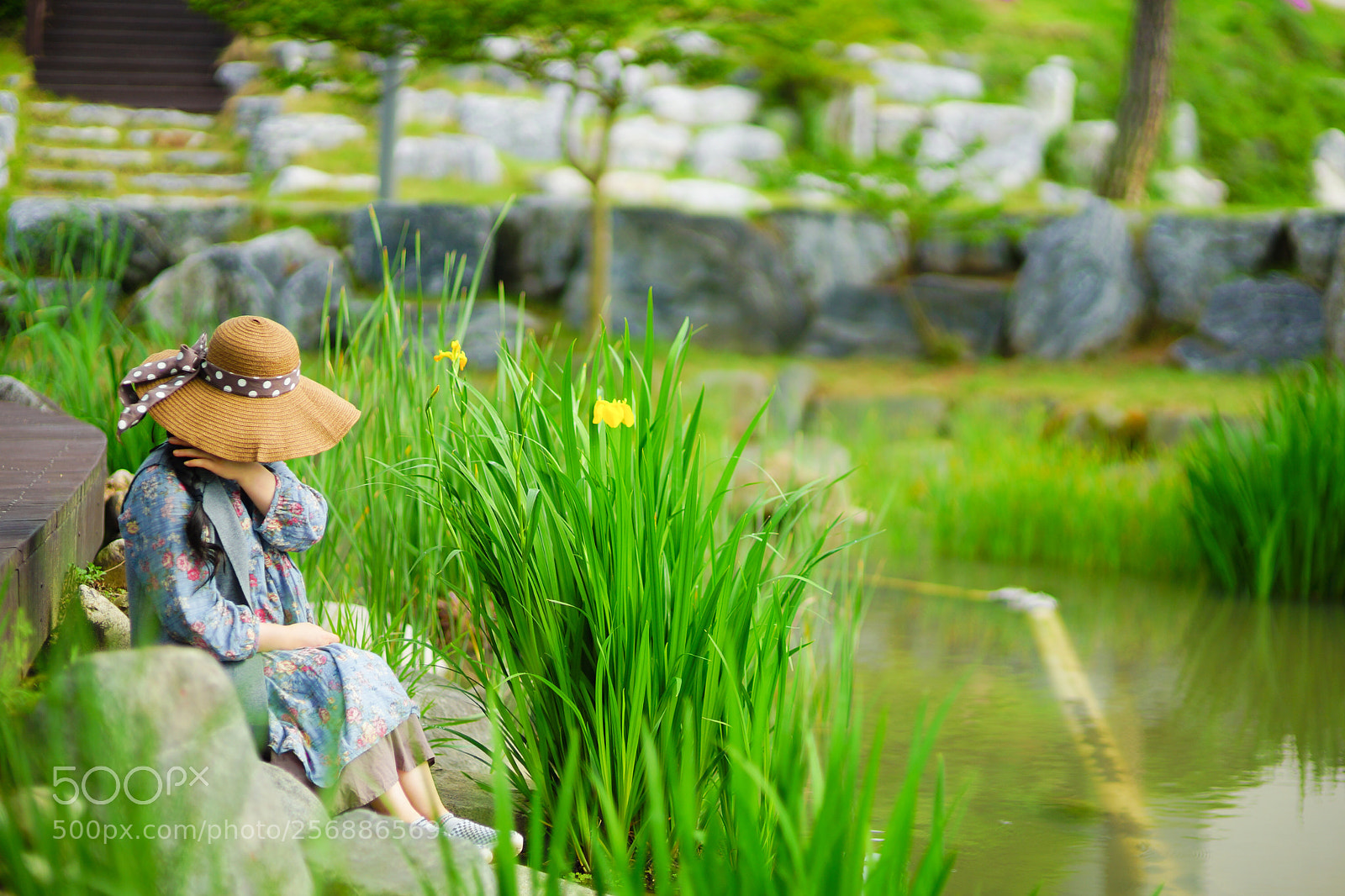Sony SLT-A99V sample photo. Green rest photography