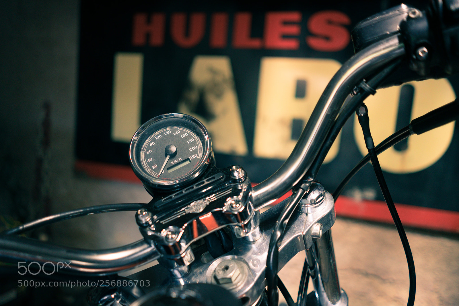 Sony a7 II sample photo. Harley photography