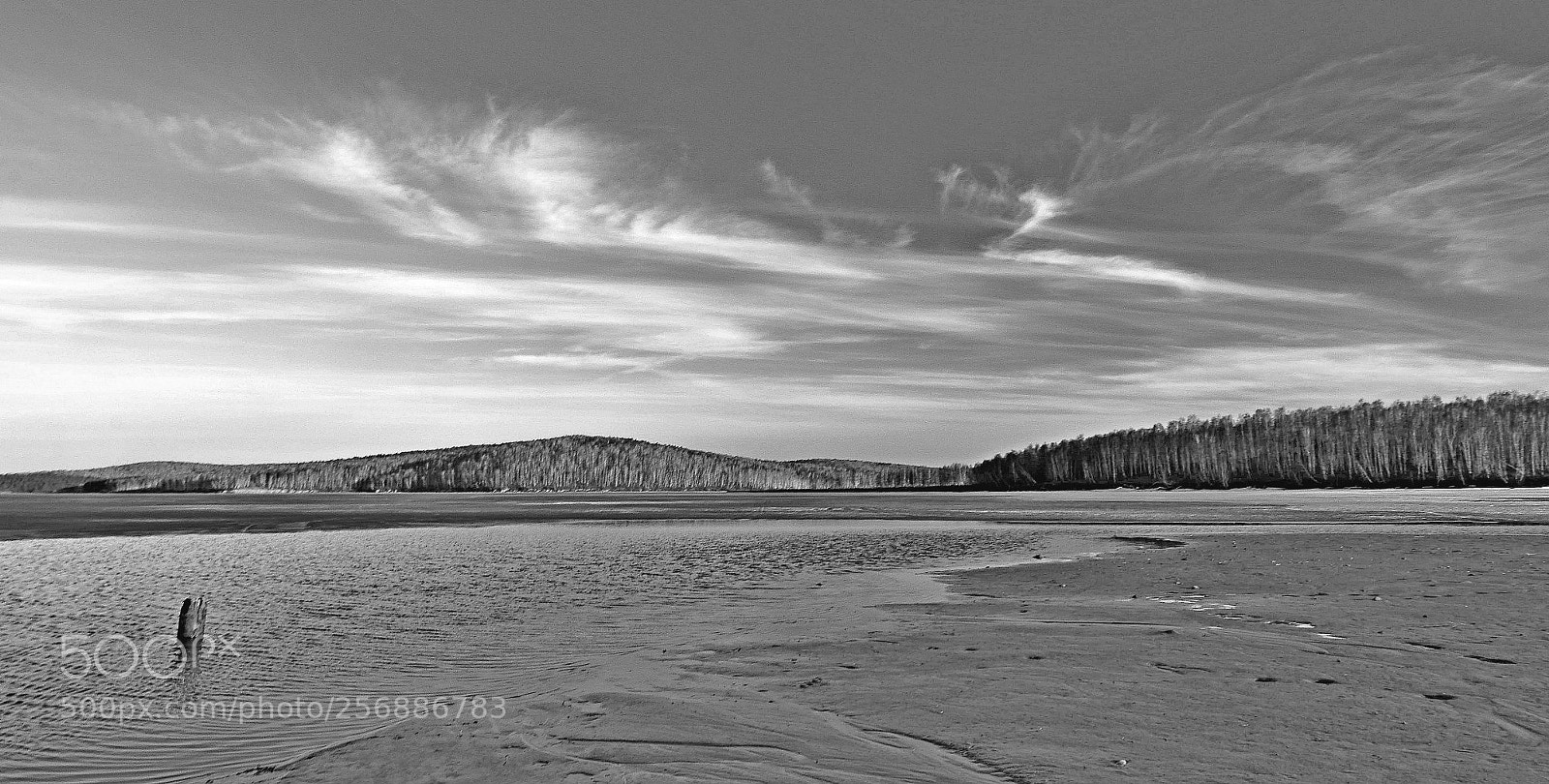 Nikon D7000 sample photo. Shades of gray surrender photography