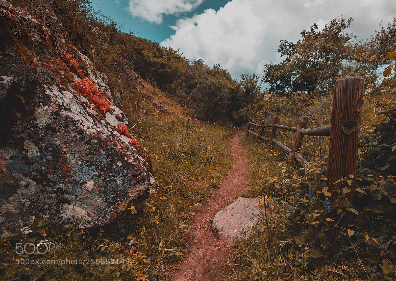 Canon EOS 6D Mark II sample photo. Martis fall photography