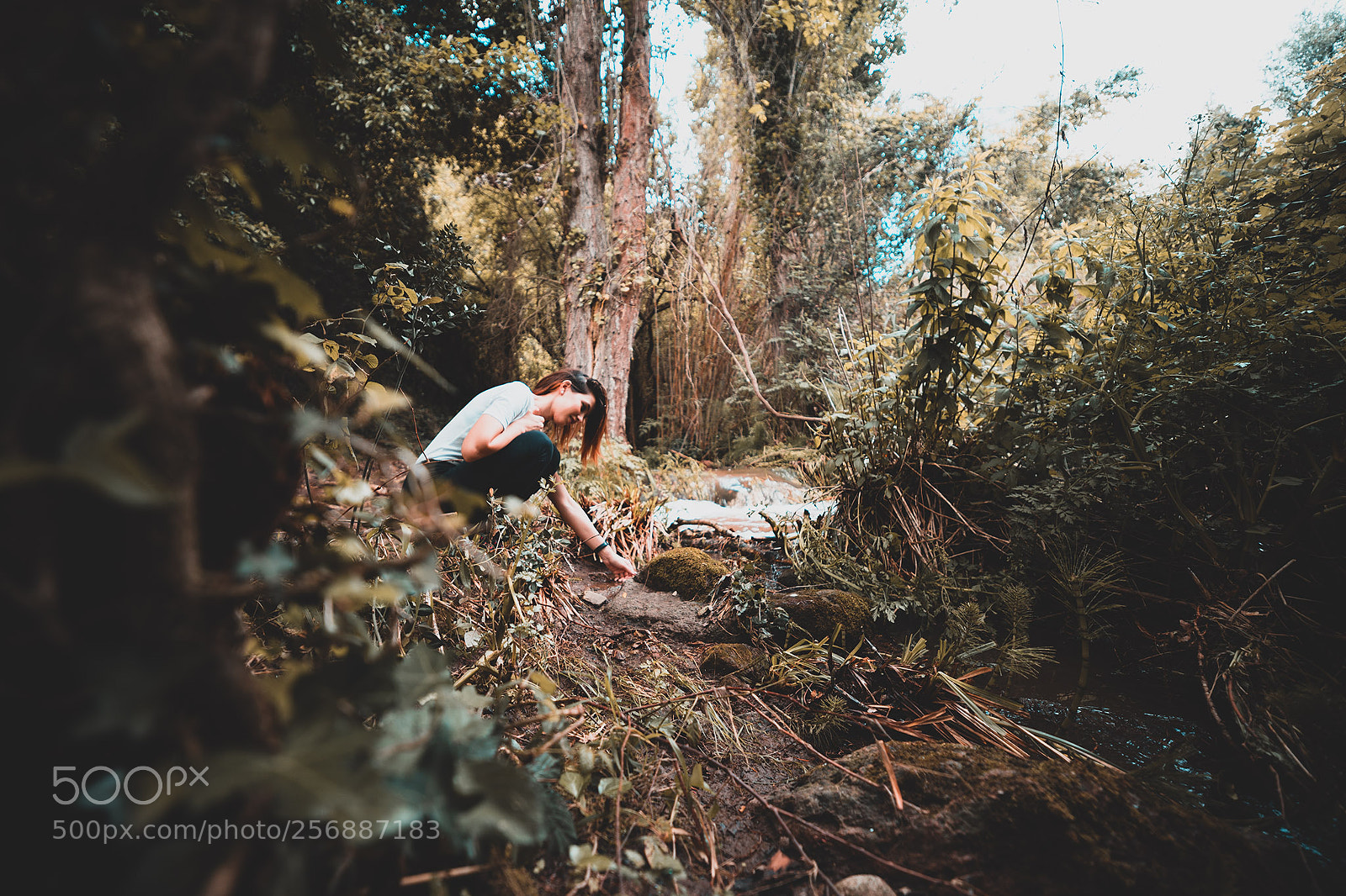 Canon EOS 6D Mark II sample photo. Martis fall photography