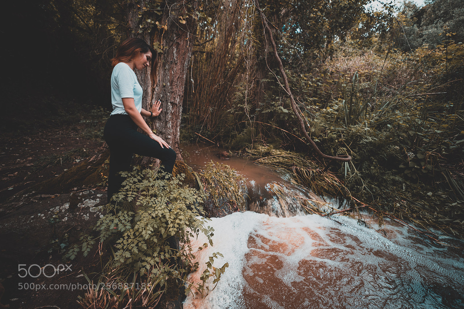 Canon EOS 6D Mark II sample photo. Martis fall photography