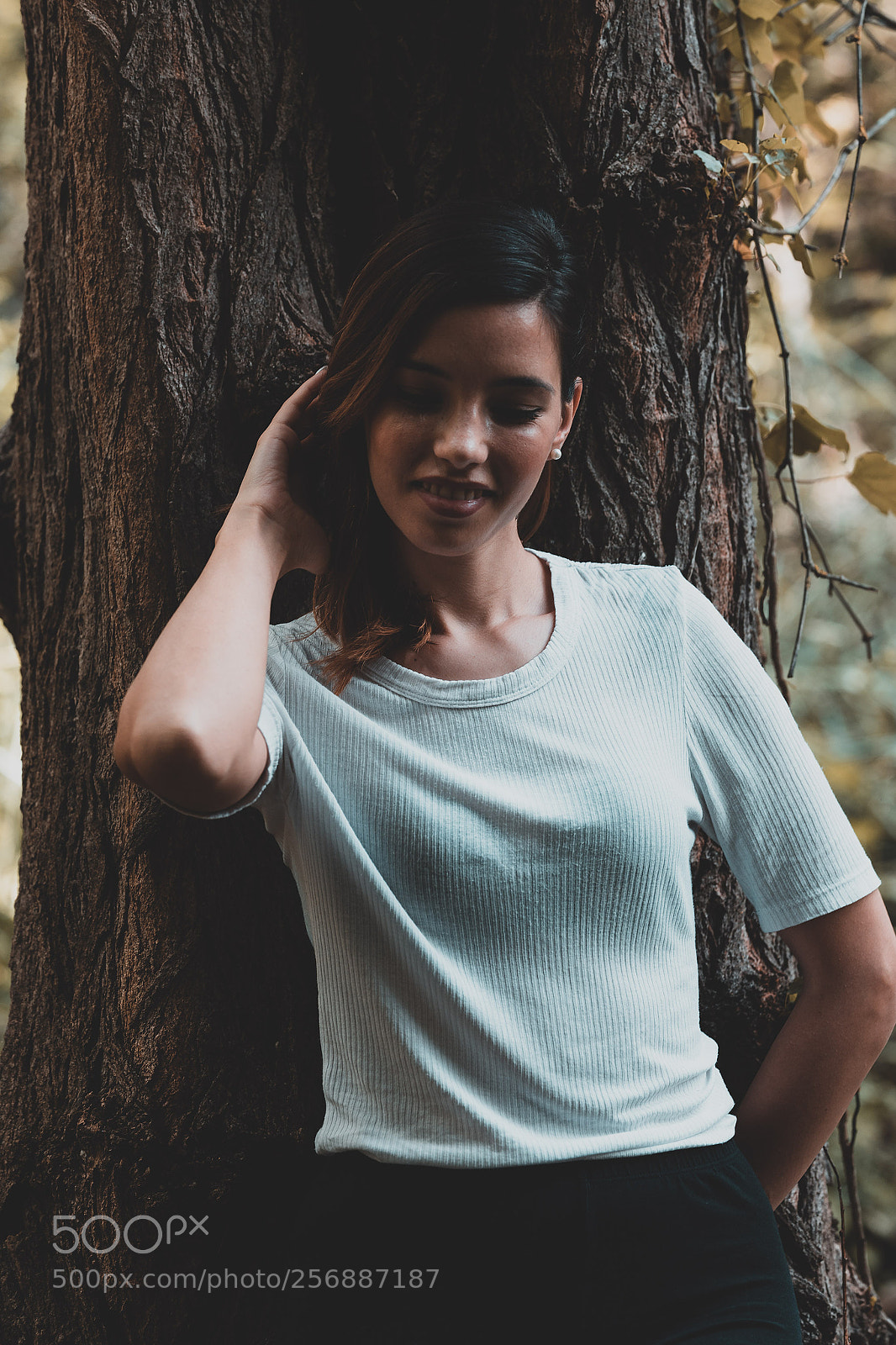 Canon EOS 6D Mark II sample photo. Martis fall photography