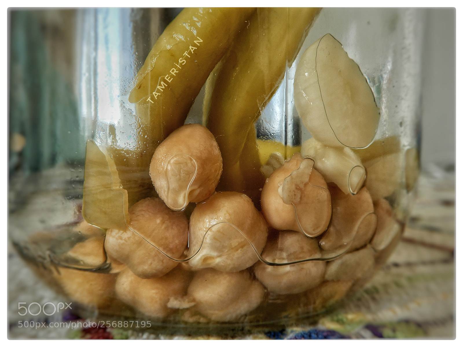 Nikon Coolpix A900 sample photo. Pickle. photography