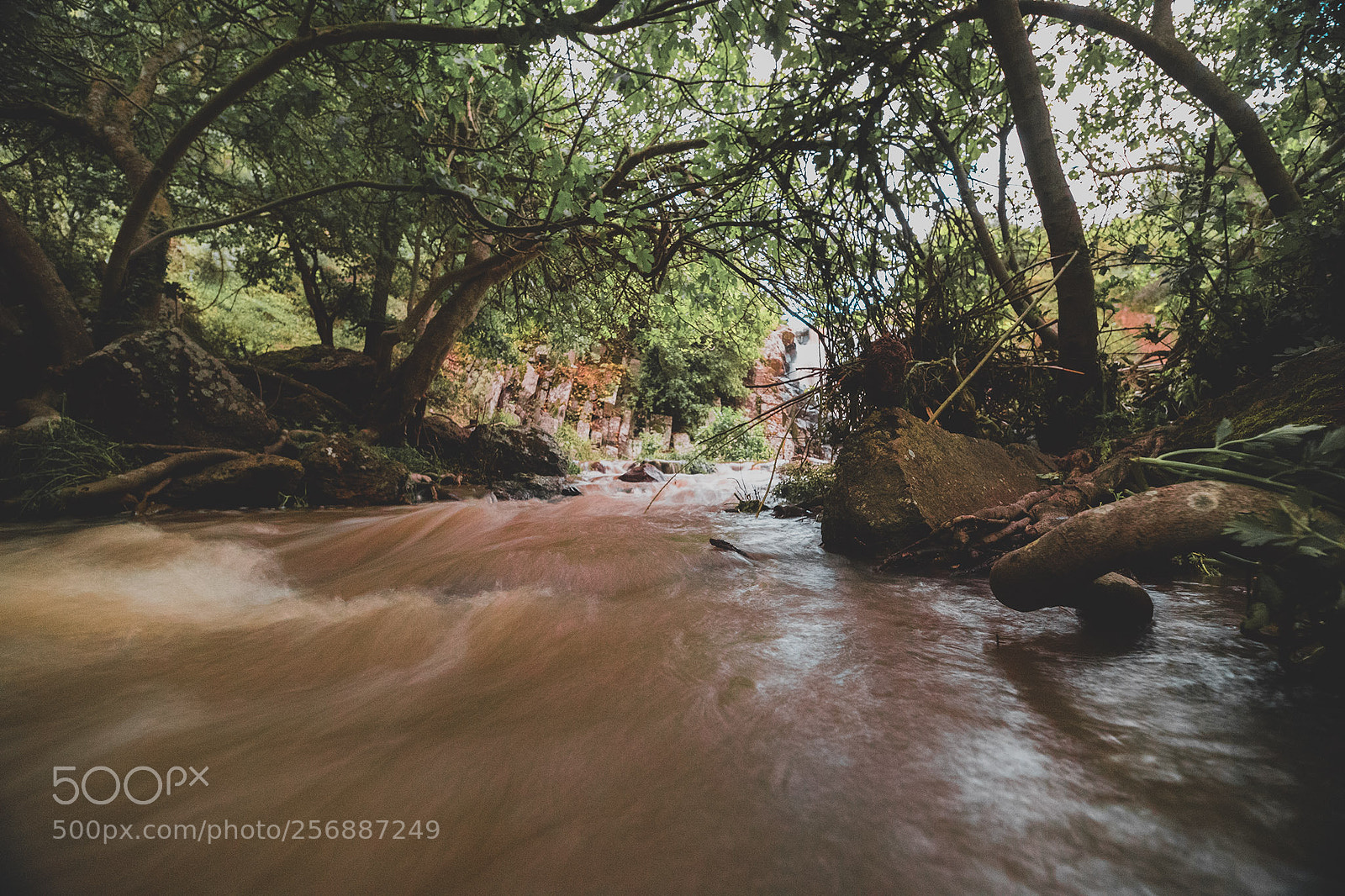 Canon EOS 6D Mark II sample photo. Martis fall photography