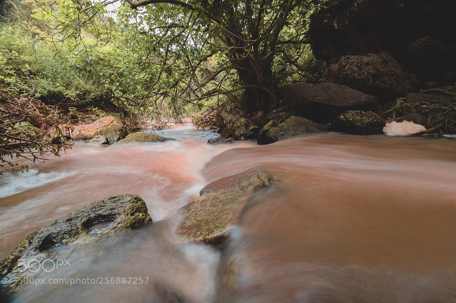 Canon EOS 6D Mark II sample photo. Martis fall photography