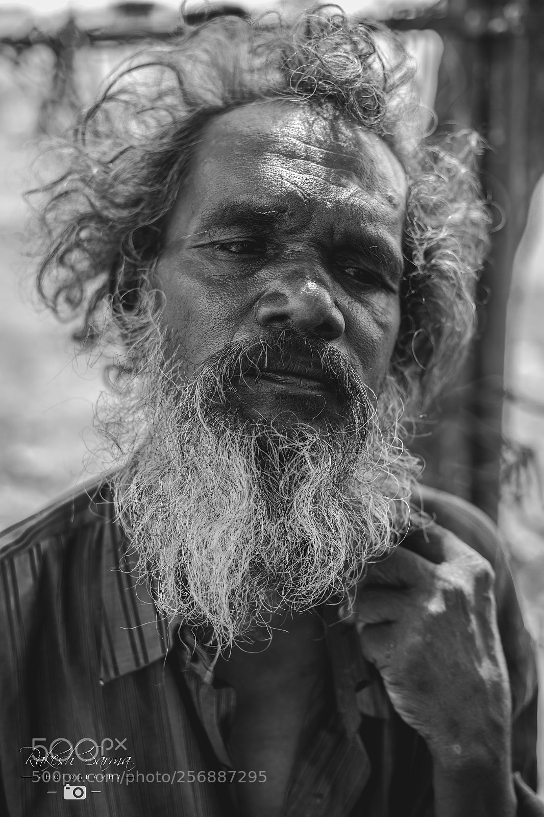Canon EOS 6D sample photo. Untitled photography