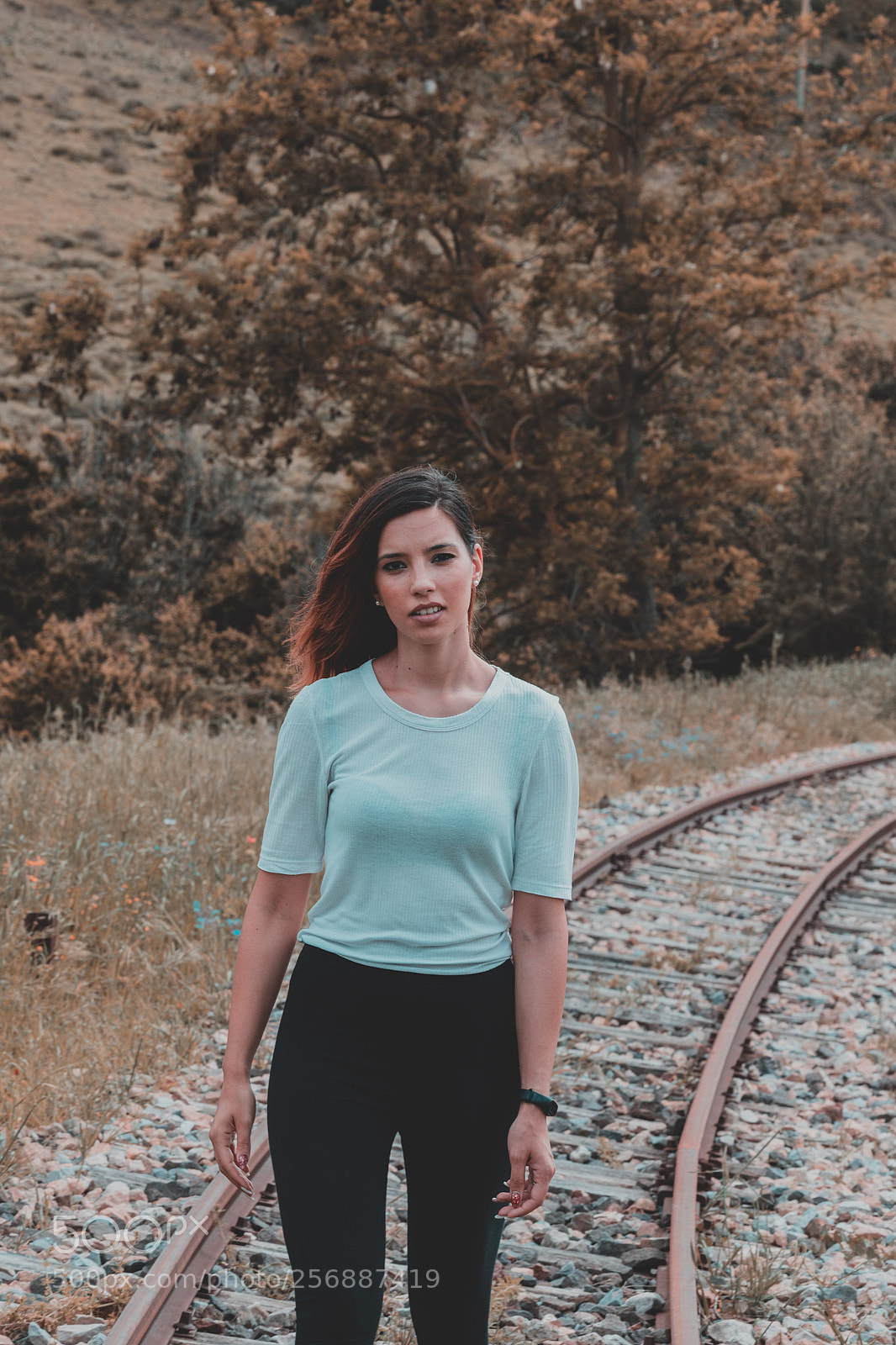 Canon EOS 6D Mark II sample photo. Martis fall photography