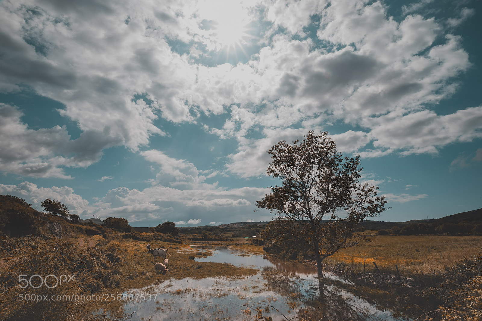 Canon EOS 6D Mark II sample photo. Martis fall photography