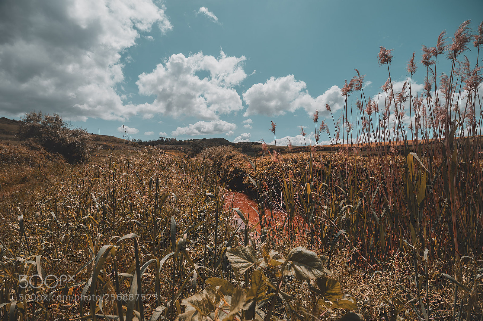 Canon EOS 6D Mark II sample photo. Martis fall photography