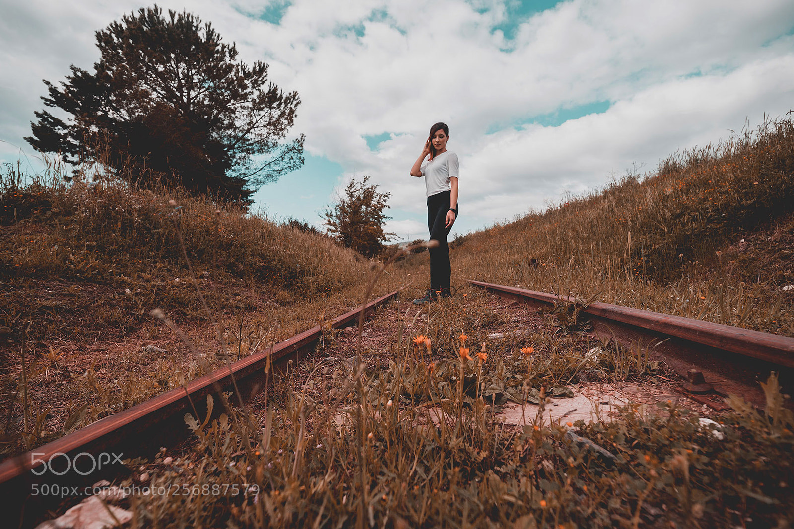 Canon EOS 6D Mark II sample photo. Martis fall photography