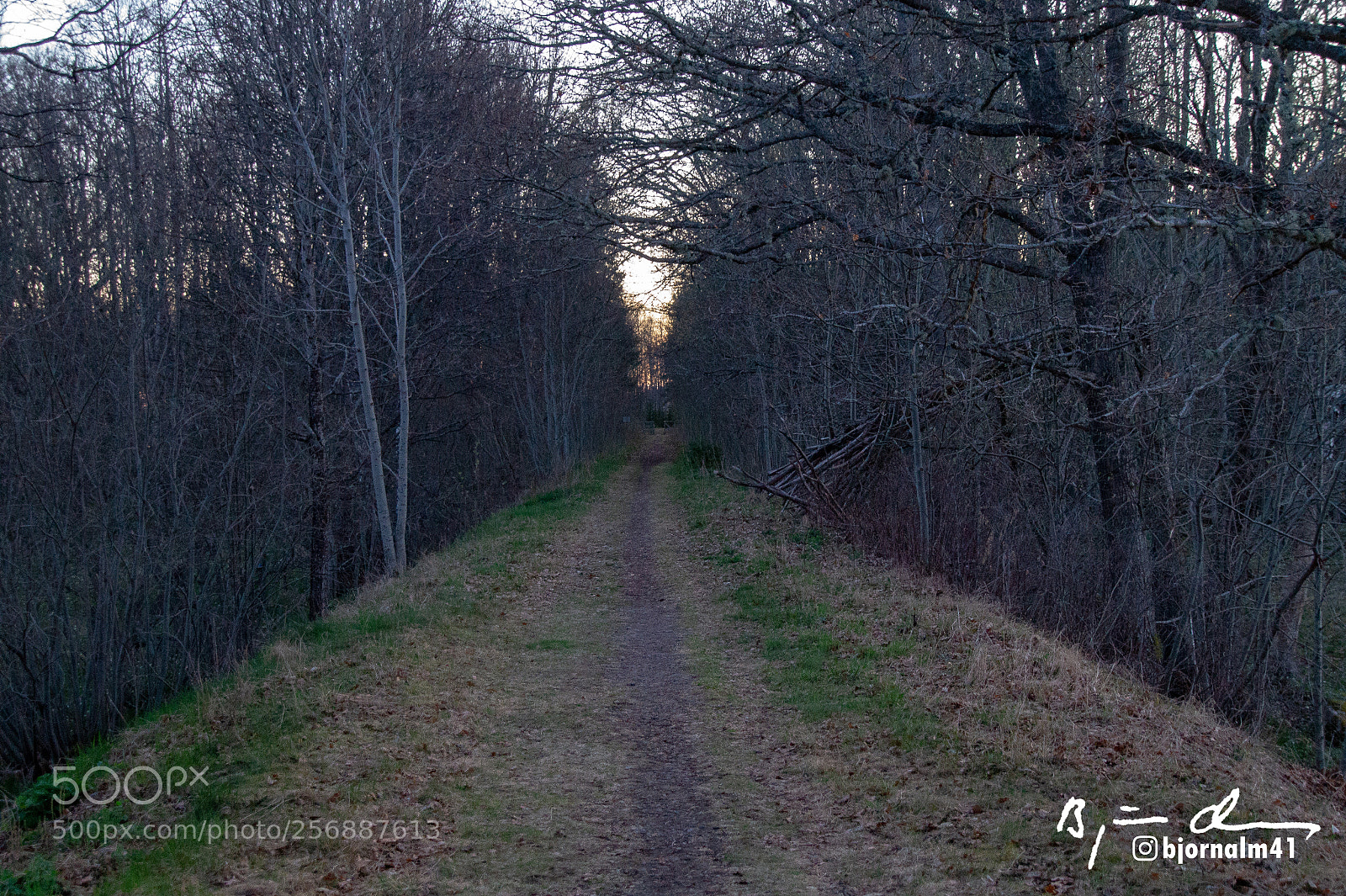 Sony SLT-A58 sample photo. Gamla j rnv gen photography