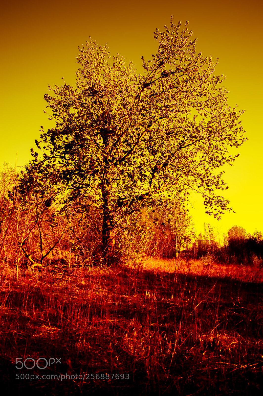 Nikon D3200 sample photo. Untitled photography