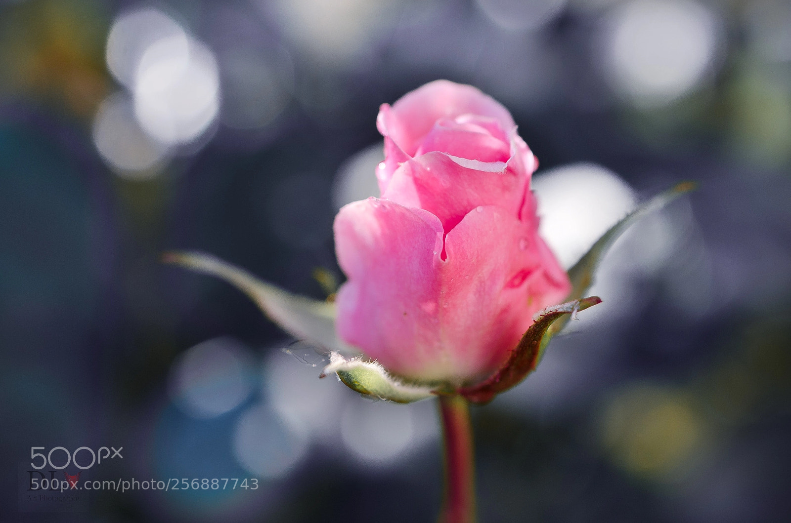 Nikon D7000 sample photo. La bonne heure pour photography