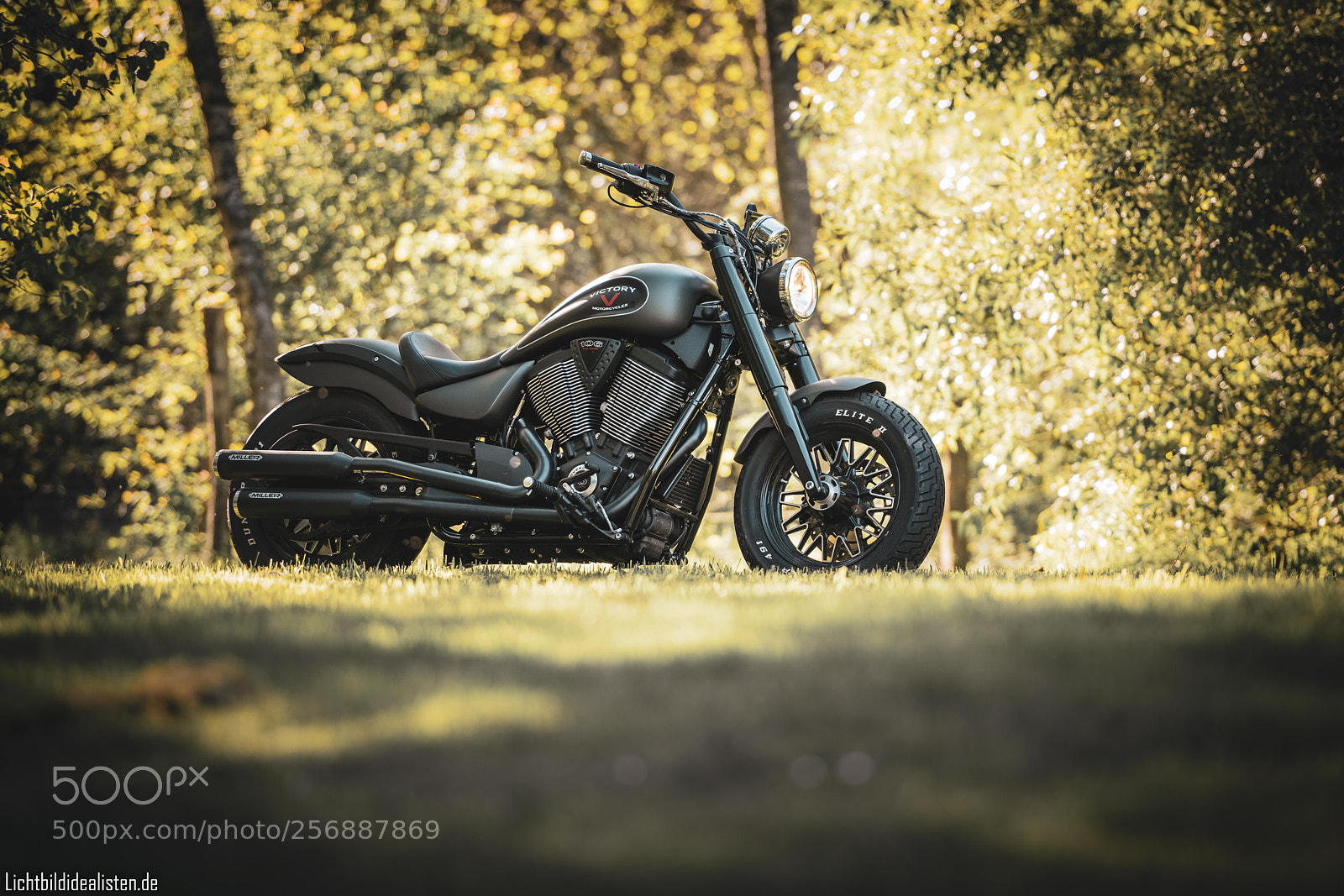 Nikon D850 sample photo. Green photography