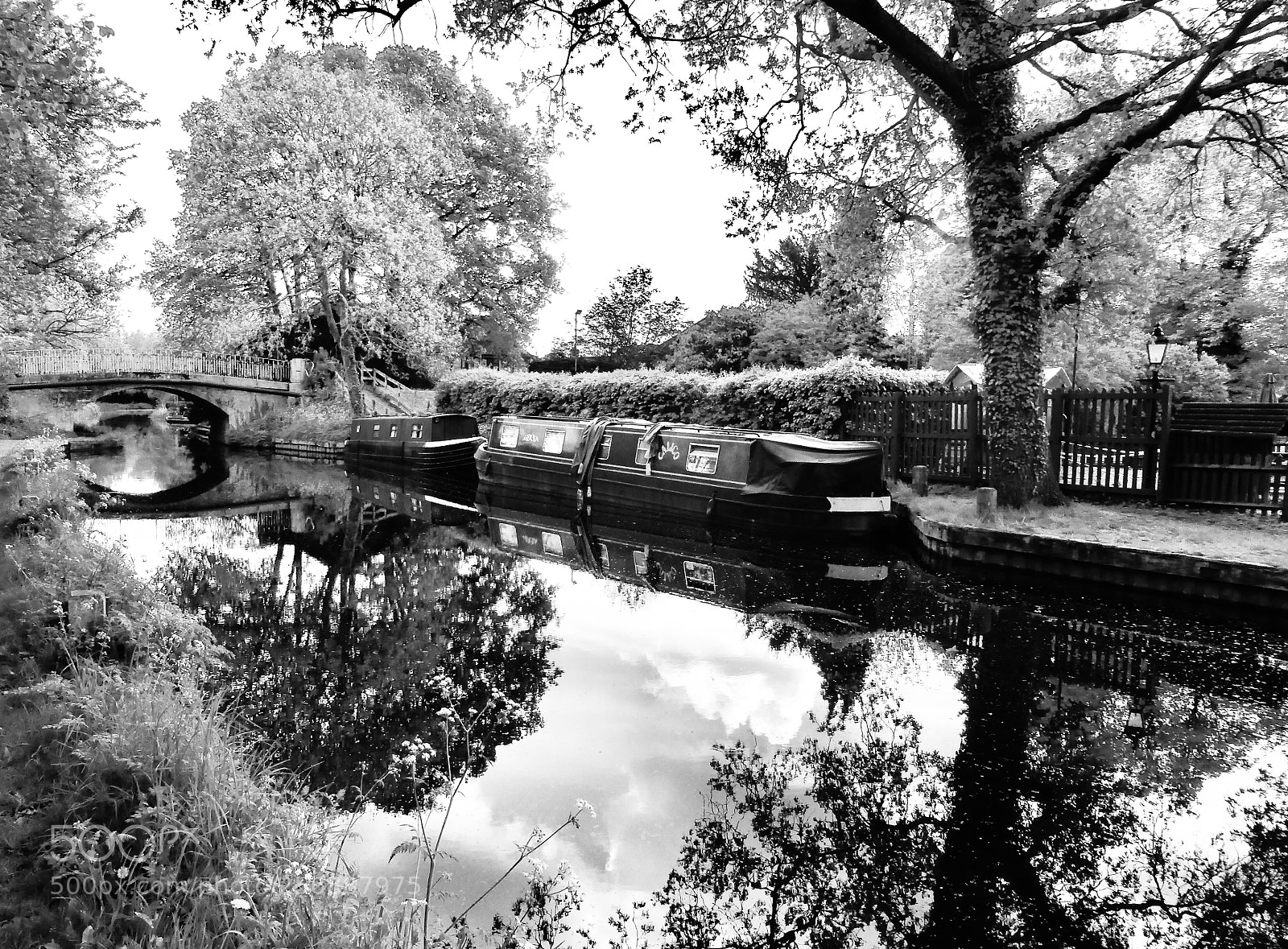 Panasonic Lumix DMC-ZS30 (Lumix DMC-TZ40) sample photo. Basingstoke canal photography