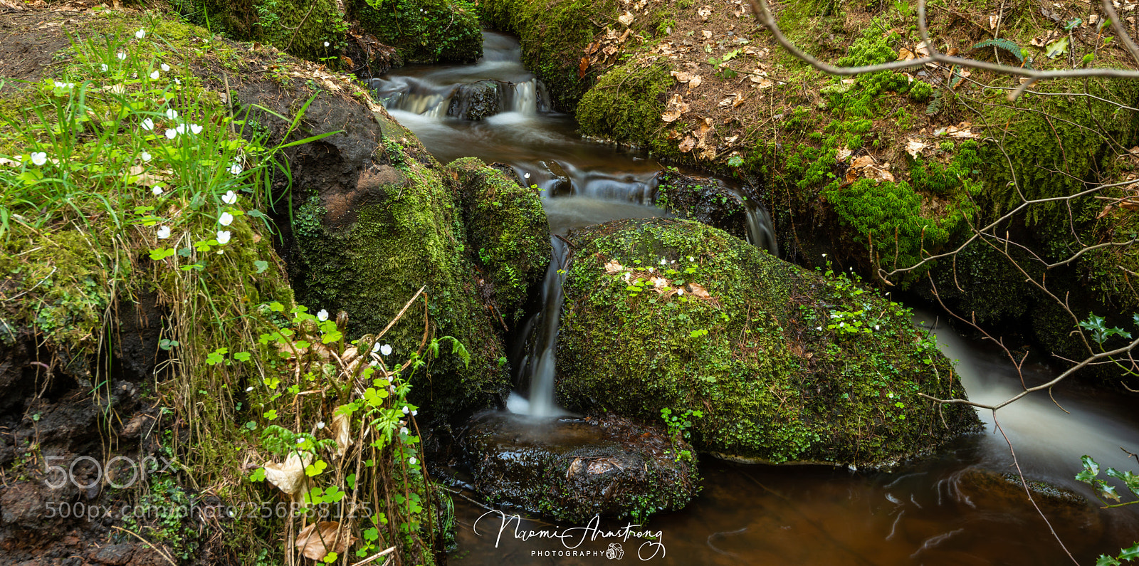 Nikon D800 sample photo. Lean on me photography