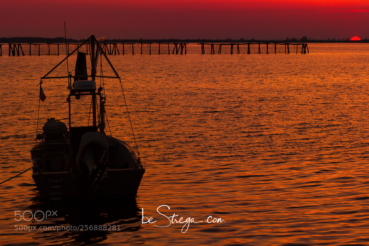 Canon EOS 60D sample photo. Tramonto sul delta del photography