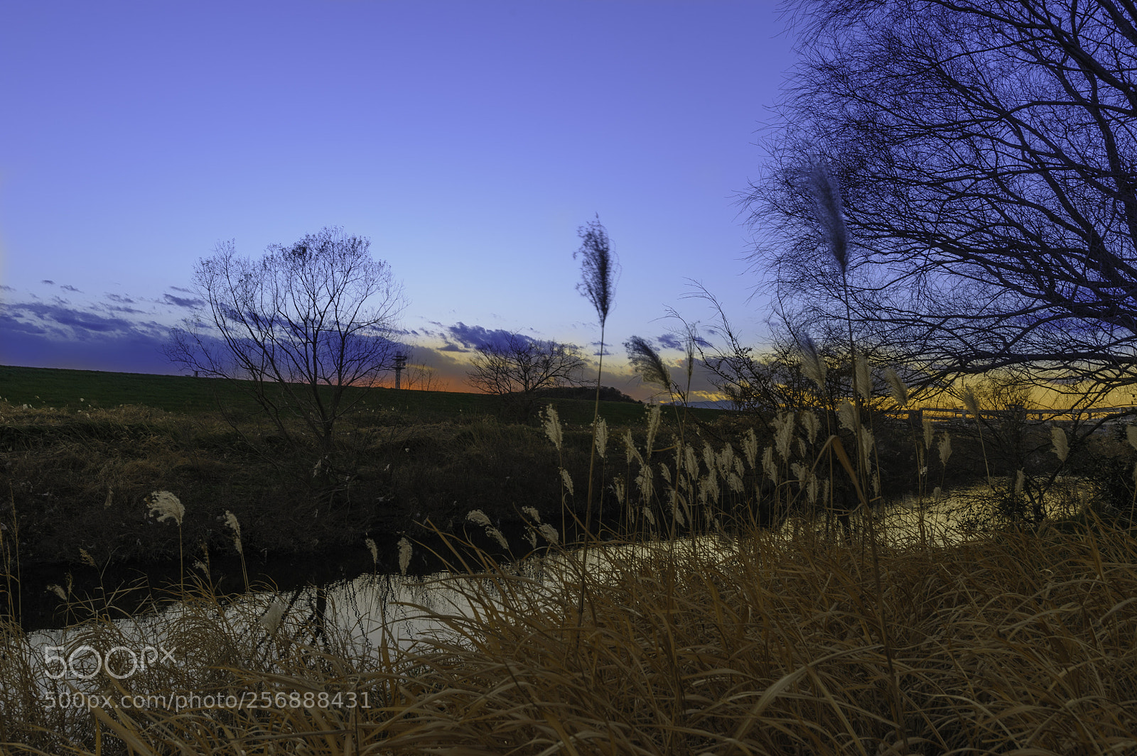 Nikon D700 sample photo. Sunset ii photography