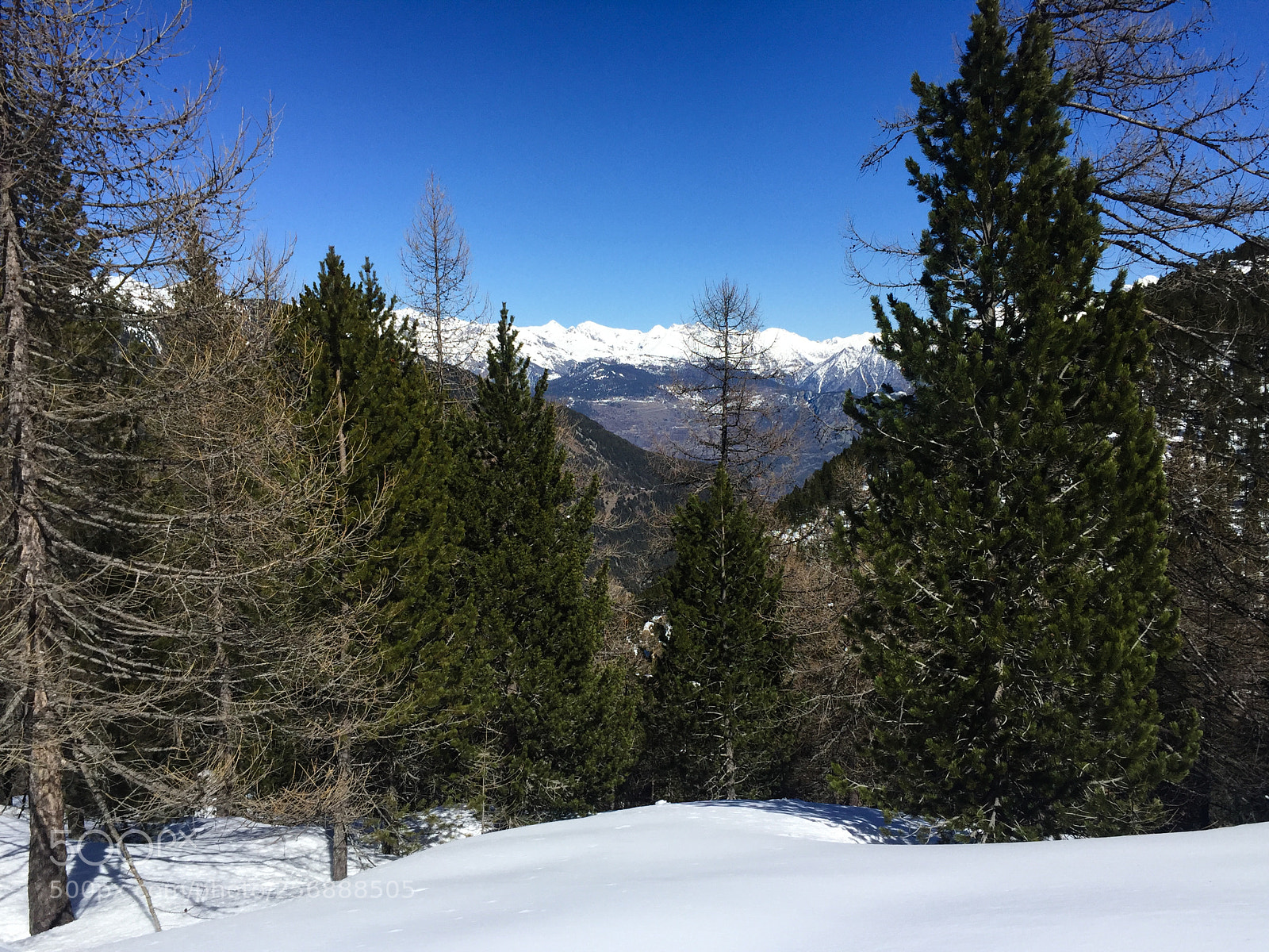 Apple iPhone 6 sample photo. Italy, trekking day photography