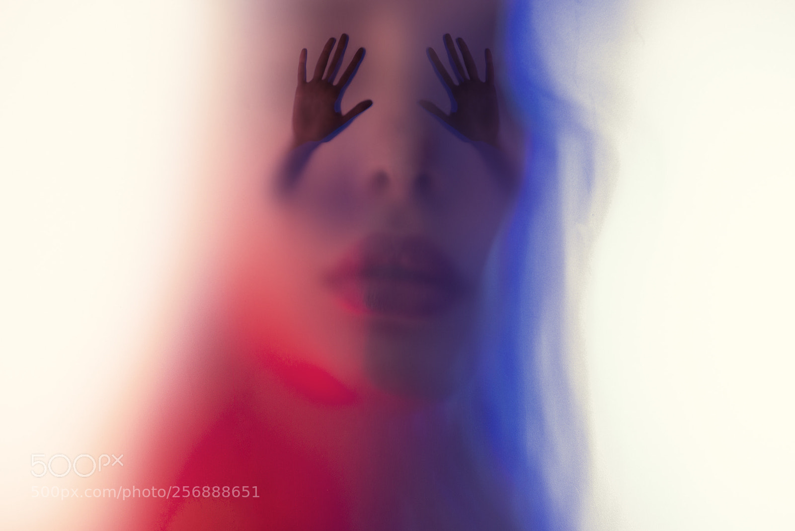 Nikon D610 sample photo. Persephone's dreams photography
