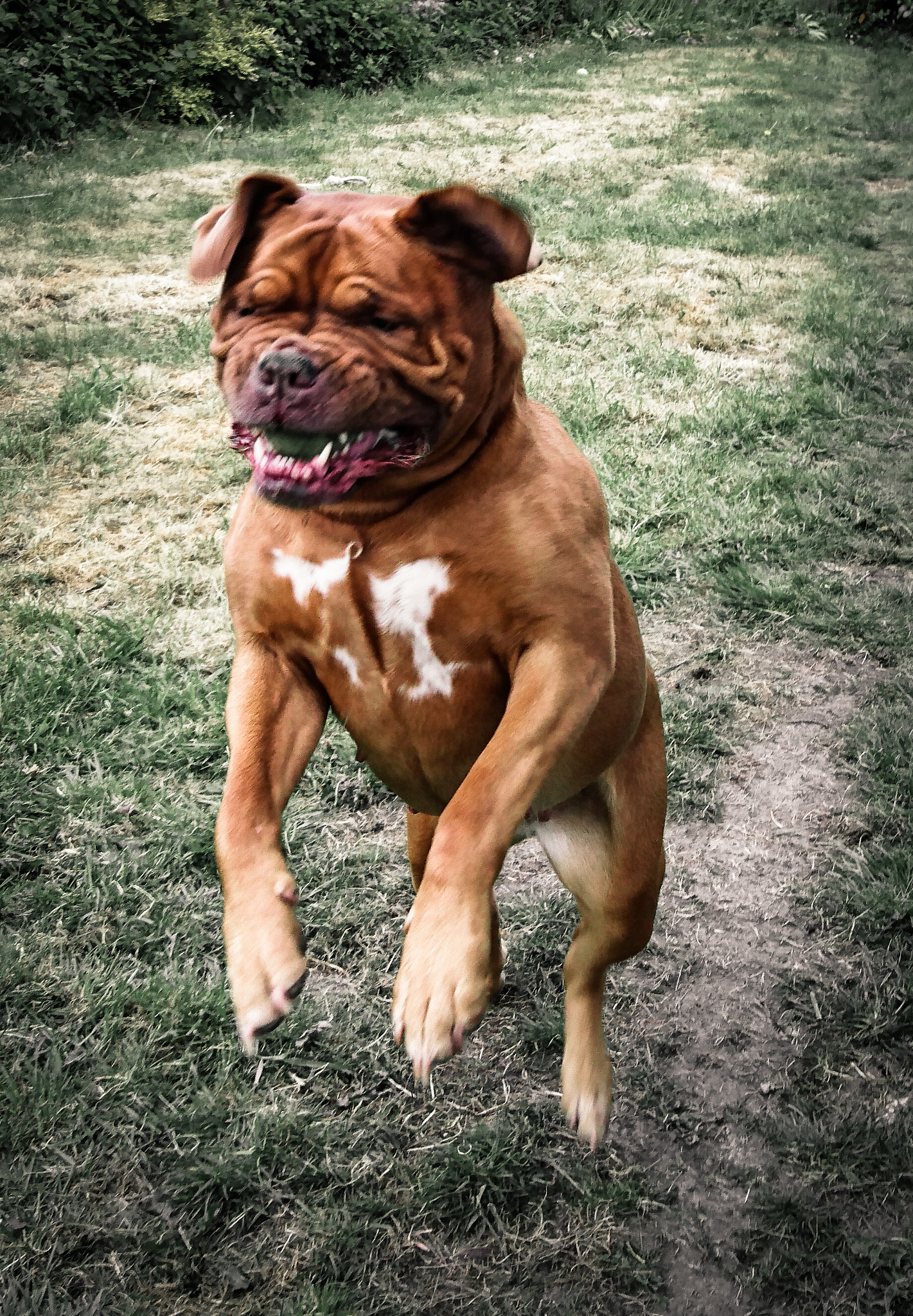 Sony Xperia Z5 sample photo. Betty's trajectory photography