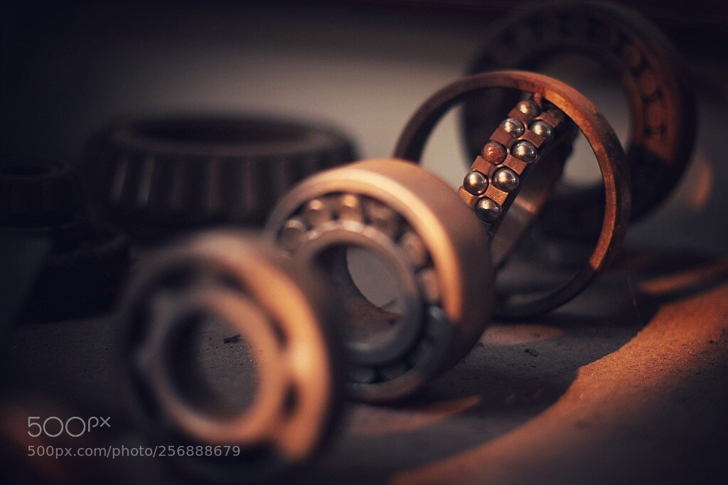 Canon EOS 5D Mark II sample photo. Untitled photography