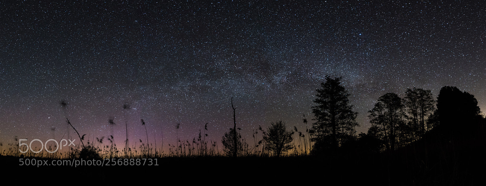 Nikon D3300 sample photo. Milkyway photography