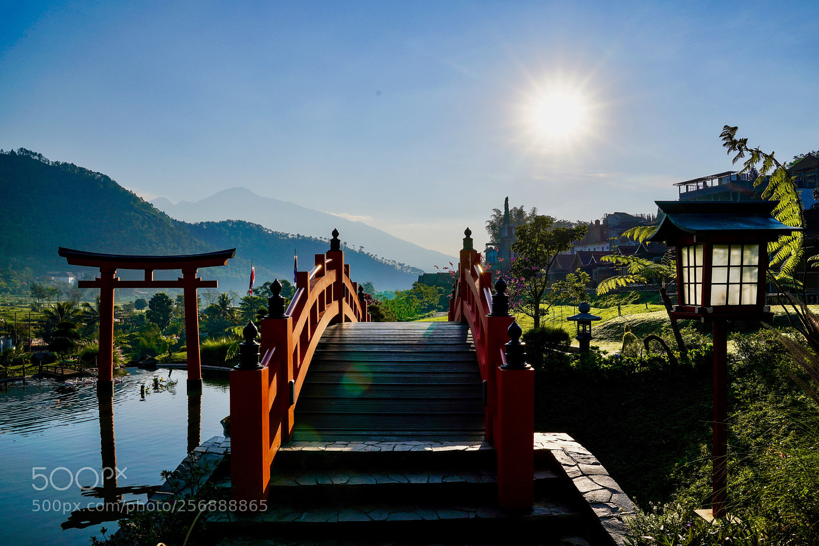 Sony a7R III sample photo. Untitled photography