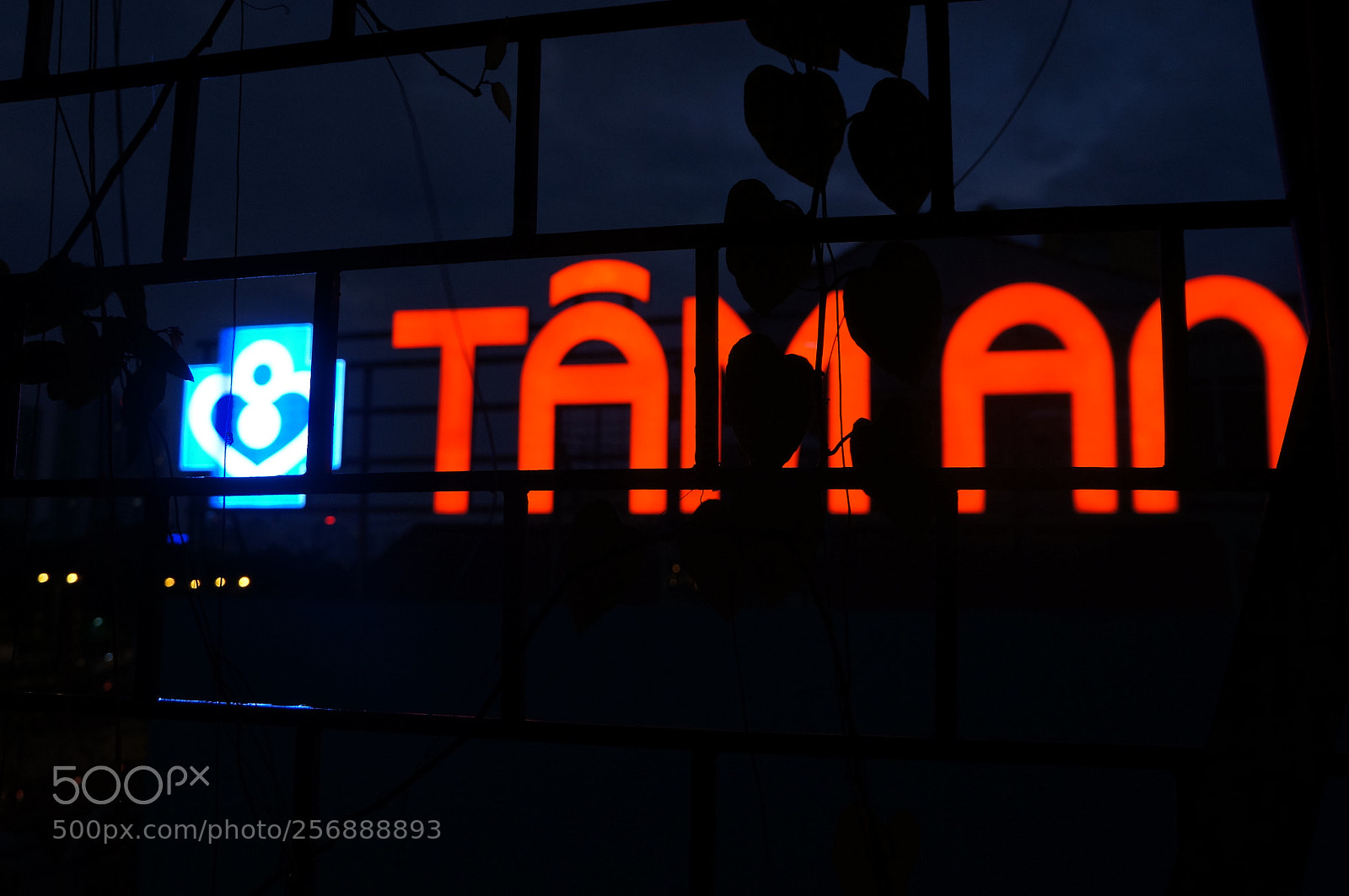 Sony Alpha NEX-5N sample photo. Dsc photography
