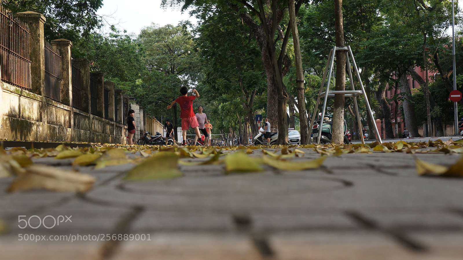 Sony Alpha NEX-5N sample photo. Dsc photography