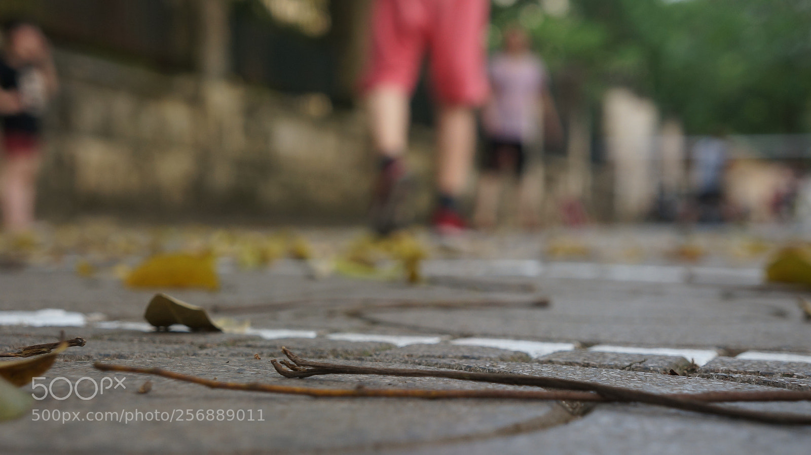 Sony Alpha NEX-5N sample photo. Dsc photography