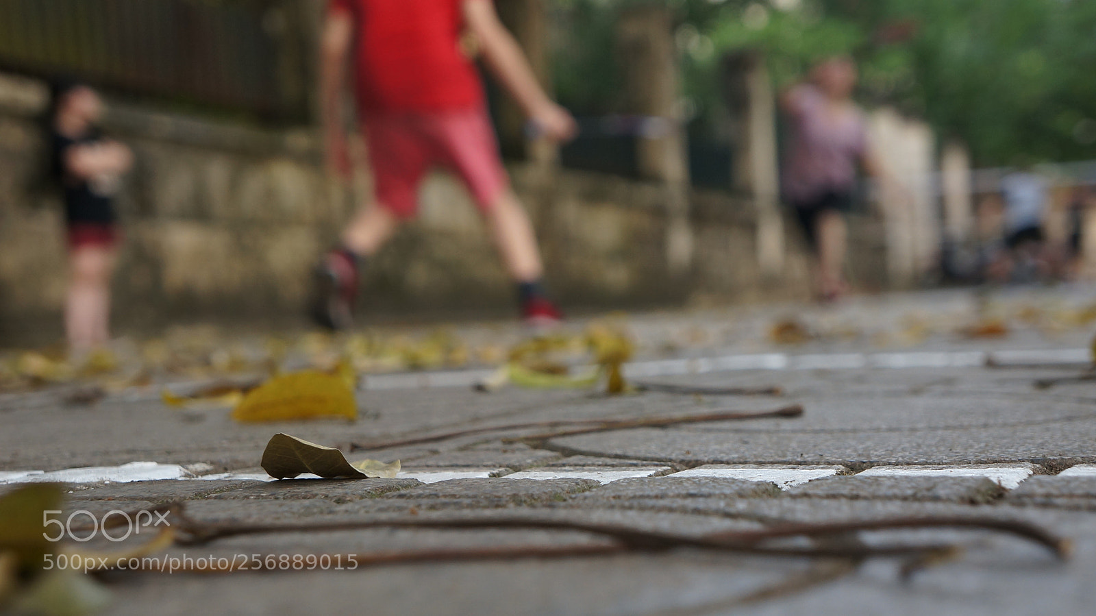 Sony Alpha NEX-5N sample photo. Dsc photography