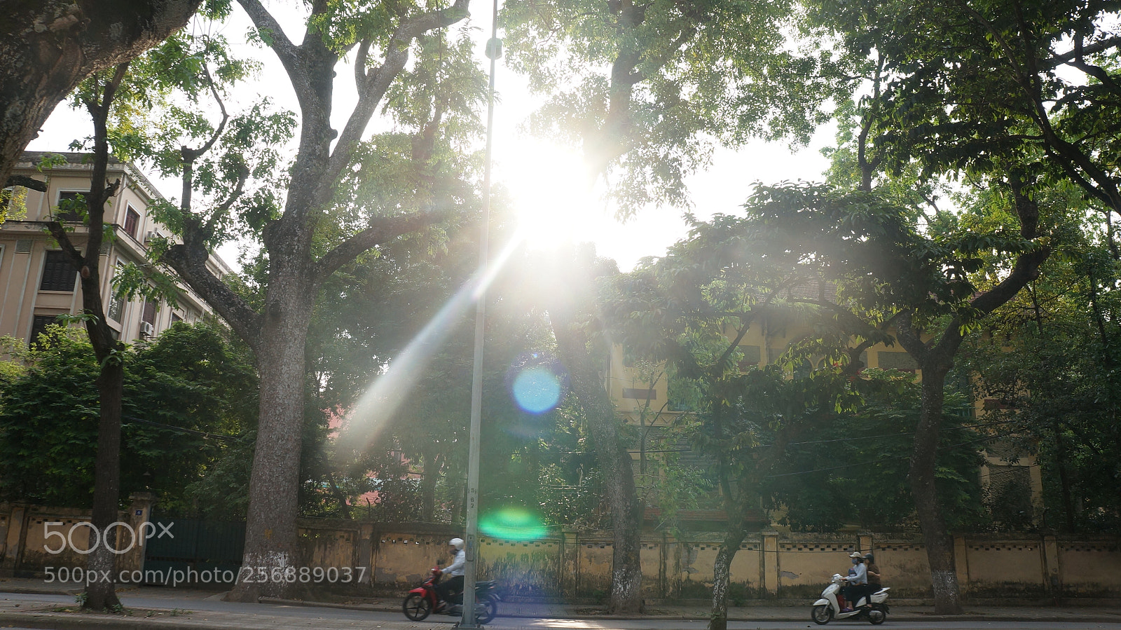 Sony Alpha NEX-5N sample photo. Dsc photography